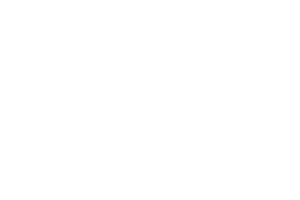 High Speed Training Logo